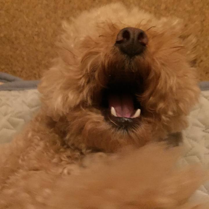 Ac5f7349 d7fa 4647 97d2 90b699932542