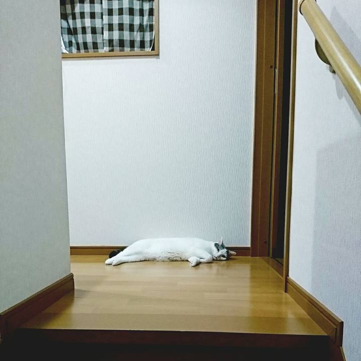 Ac5f93ce a815 4fd9 aef1 6dbcdd466f12