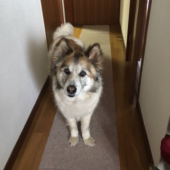 Ac5fbcbc 68a6 45b3 a6cb c278c1a484d2