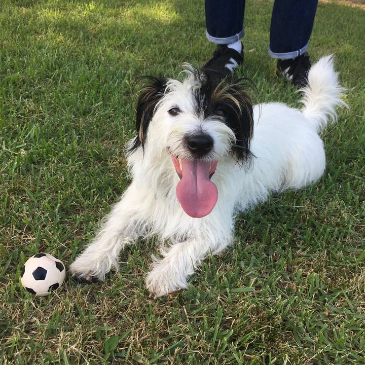 Ac5fda14 ff4a 43ed b01f 0a9594933d27