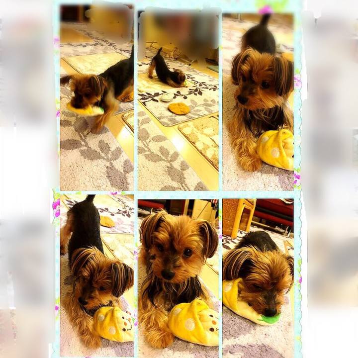 Ac601cda d512 4090 8c65 fe01d01261cb