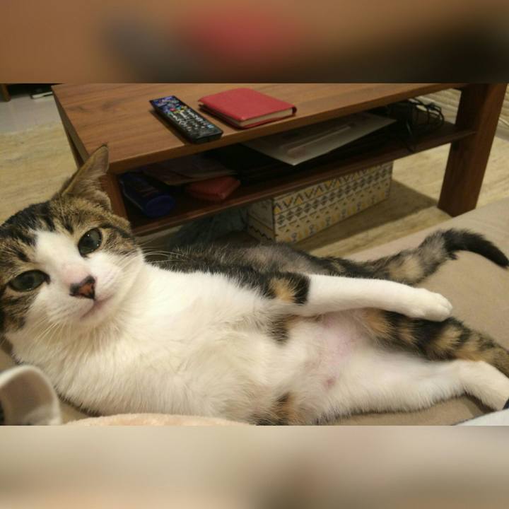 Ac6057c7 008f 4f34 89bc 7fac11099b4e