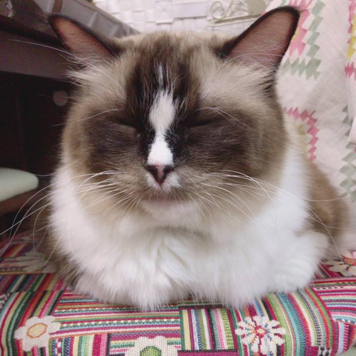 Ac607f4d a33b 419c b2d8 0b7c089d118a