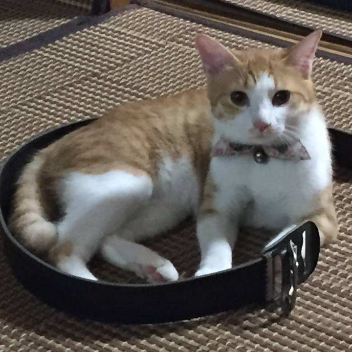 Ac60a81a 1e4f 4ea1 af92 2229b6039dee