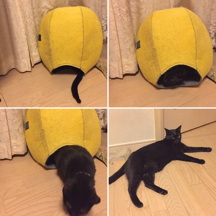 Ac613318 ca4c 4f78 835d 0c9b3ec5c044