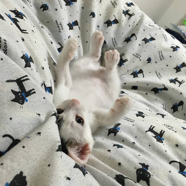 Ac6148fd d907 41c3 9a54 2b53558a3c18