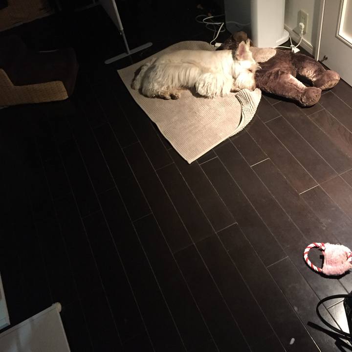 Ac6163f5 106b 45e8 9567 68c106c3597e