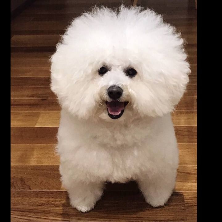 Ac618186 be30 41d5 9fa6 5bf042f1bc59