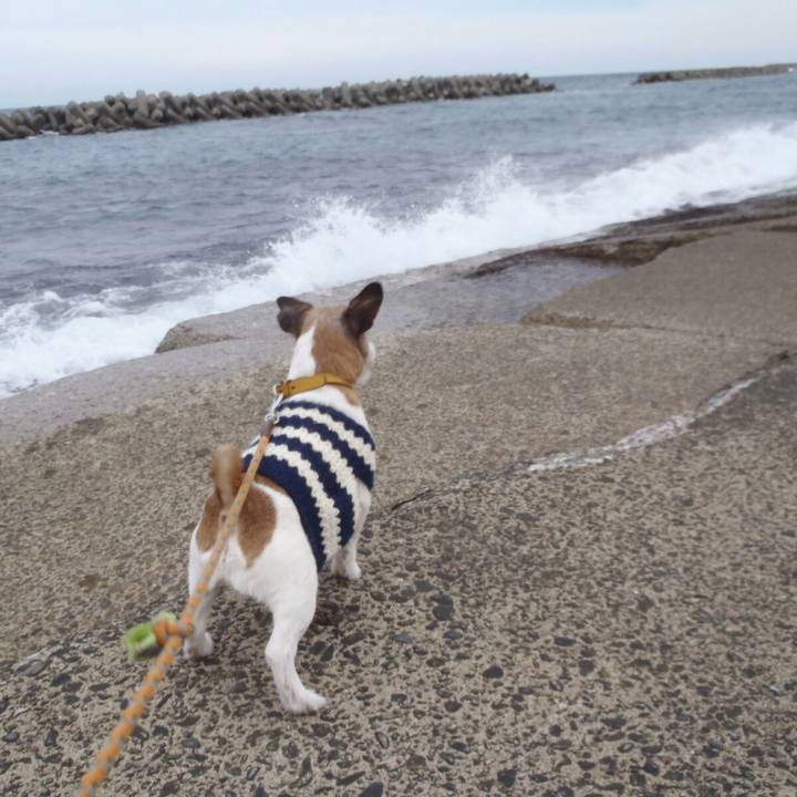 Ac61e5c9 89d3 4599 b752 c8cf92d1201d