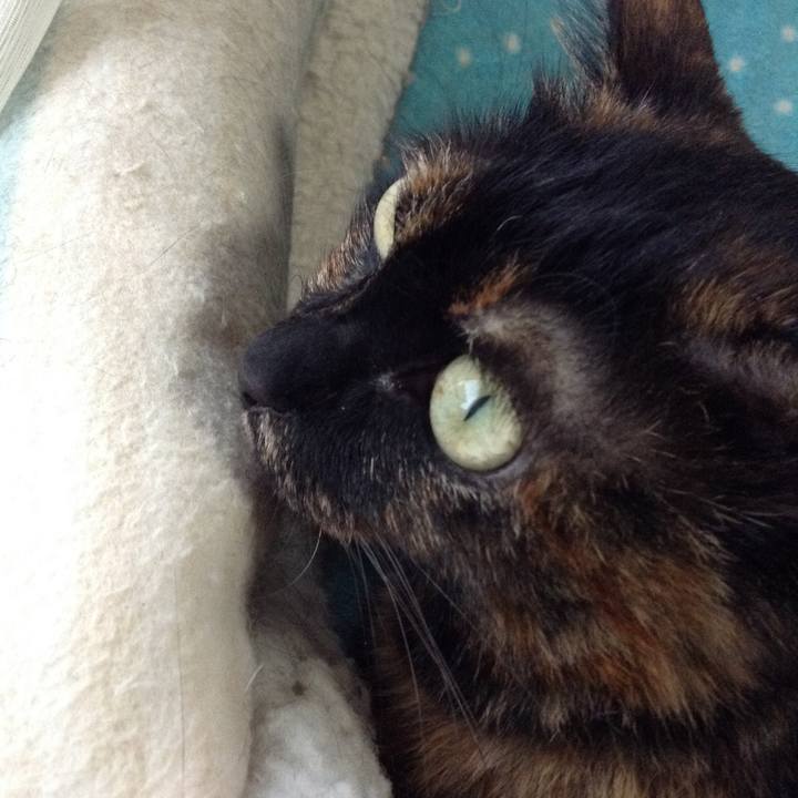 Ac61f889 421e 4e4f bb1b 05507f1d3d31