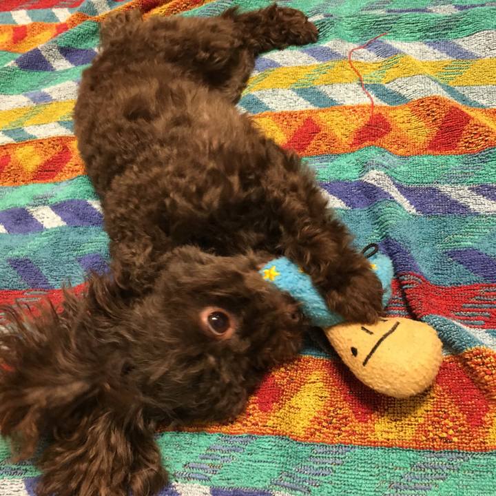 Ac623e97 372e 486c a0b0 295651a8492d