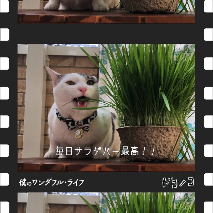 Ac626f01 a4a2 4dcb a112 ba4f830a3ac5