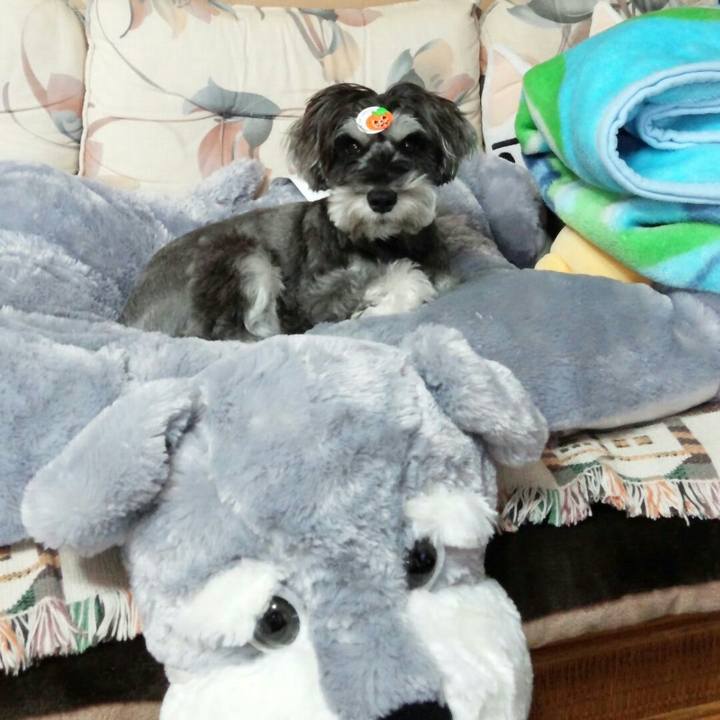 Ac627f5c c662 4470 b550 103ac07e6f6f