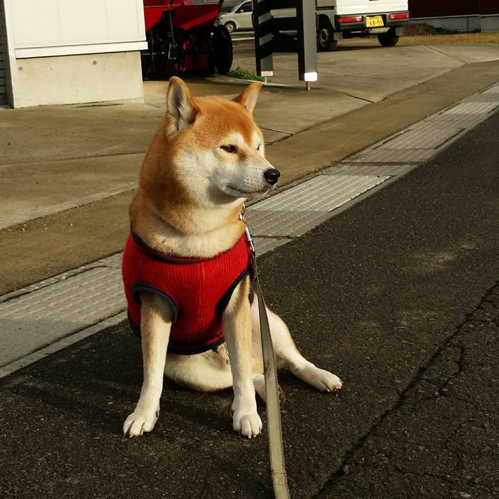 Ac62af7d a11e 4f80 a790 5a1bdc26f3da