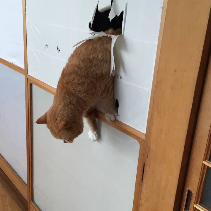 Ac62b544 1bbd 46f1 9f16 3aca89e7508b