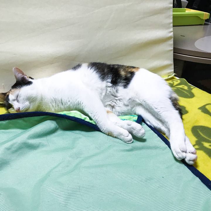 Ac62d9e7 2e46 4729 a2c2 a9e1bd6aa991