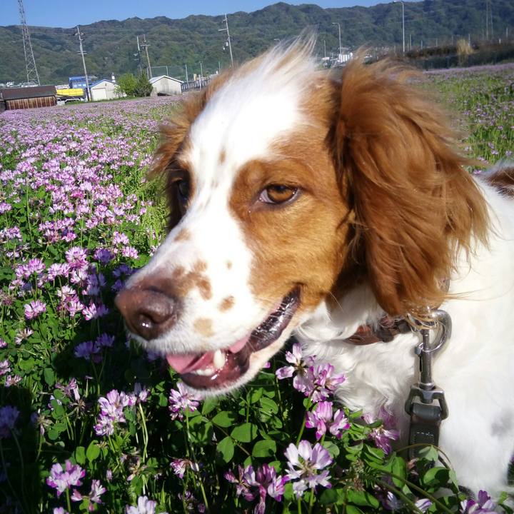 Ac6413d4 f83b 4d29 9f18 7fcfadc50426