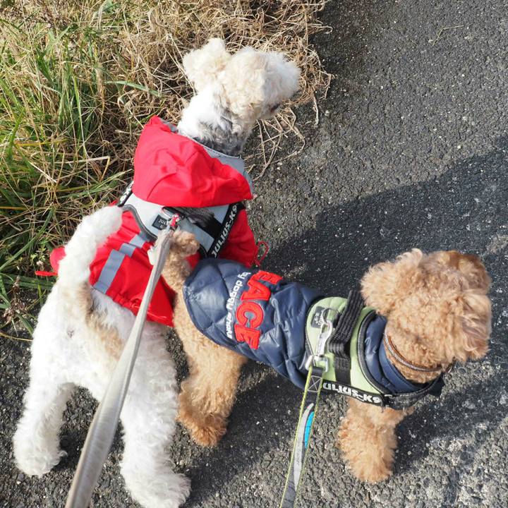 Ac64e0e3 afb5 4399 9f54 f77b1a03b7ae