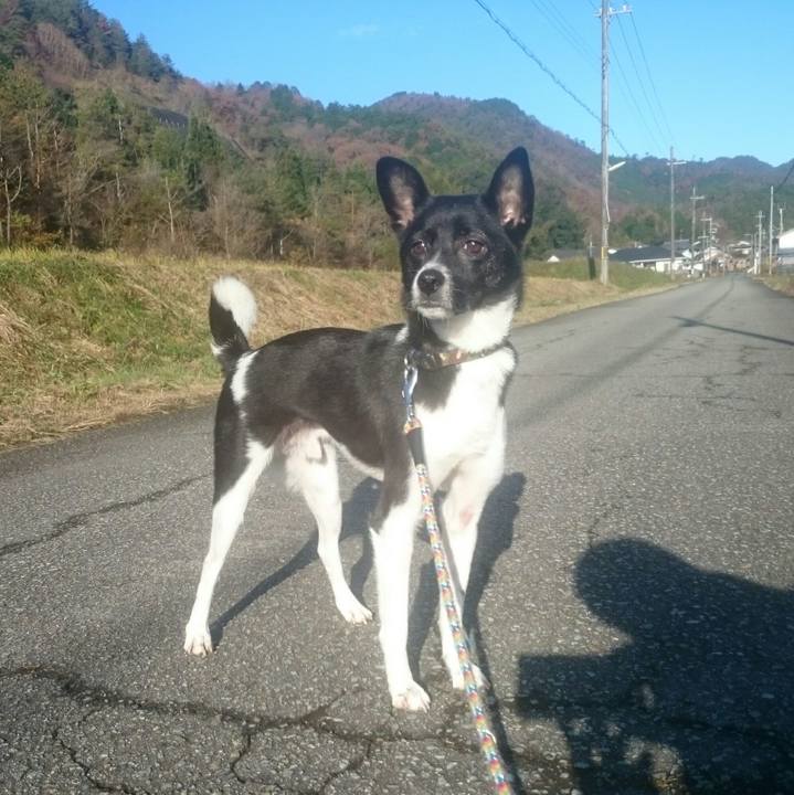 Ac650806 fd6a 43bb 9499 7c59cbdd53ff