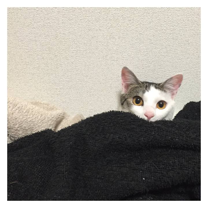 Ac65617c 3efa 47ce b53a 79bfbb7cd8c2