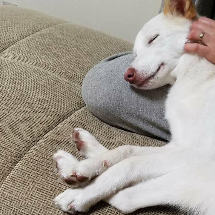 Ac66c8df ec6d 47ee b92c 7968b48437bc