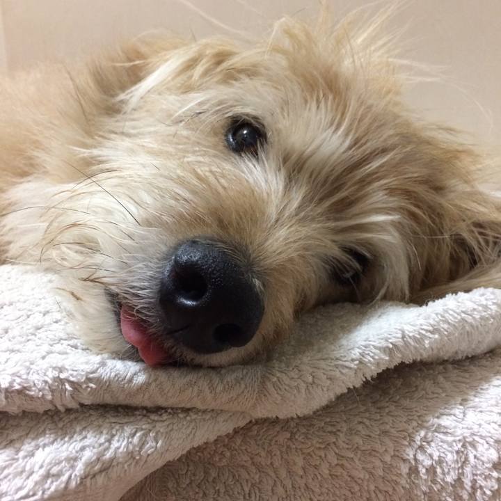 Ac6700cb d96d 423d 9c29 9b768746aee1