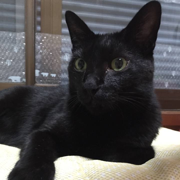 Ac67326c ab29 46e6 8a6e fbeb93686932