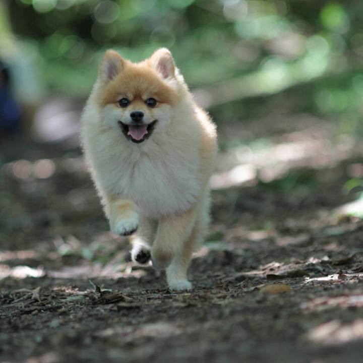 Ac675bf1 03ea 4f35 b550 628a24ac89d3