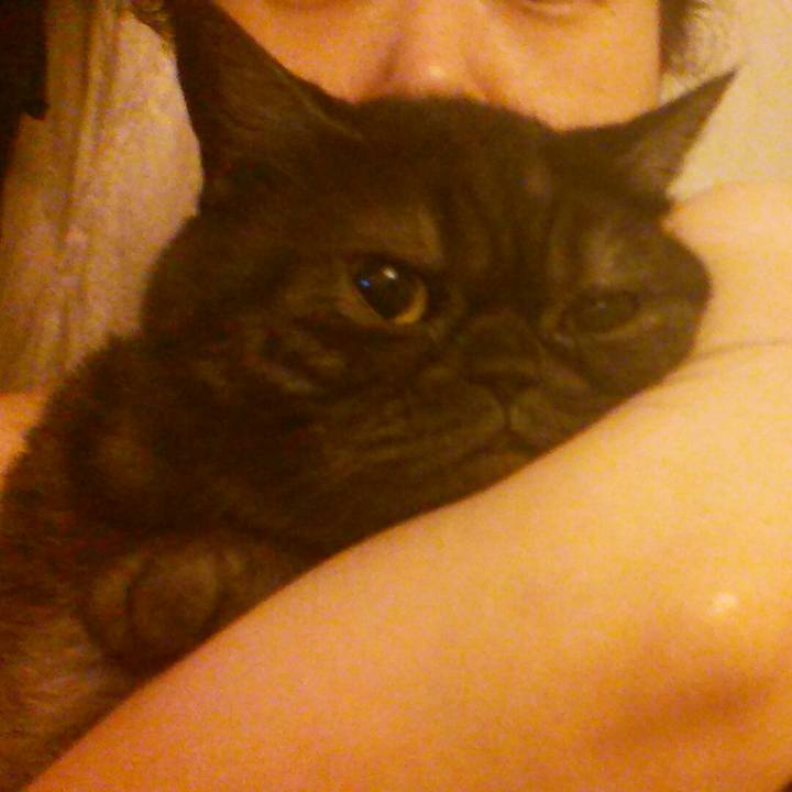 Ac67c7c3 cab7 4016 9ffd 1436e1e28c8d