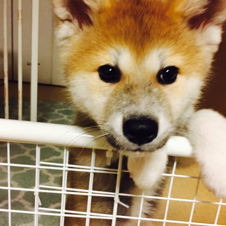 Ac67c9e9 3220 4352 ba64 ab6240022ed3