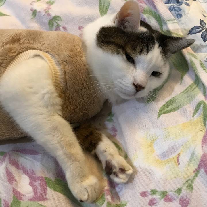 Ac67e122 404f 435d a0ab cbd0cf4d0c9b