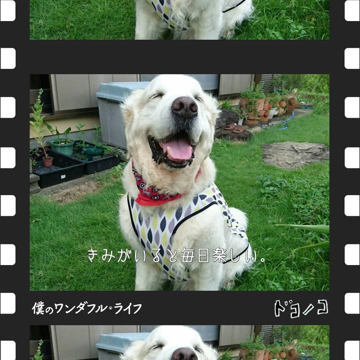 Ac67f78d d594 409a b0ce 44291ac87a34