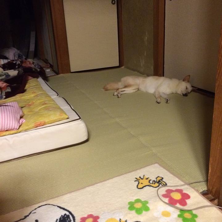 Ac681f04 f58e 4af9 9719 cbf4846ddc8a