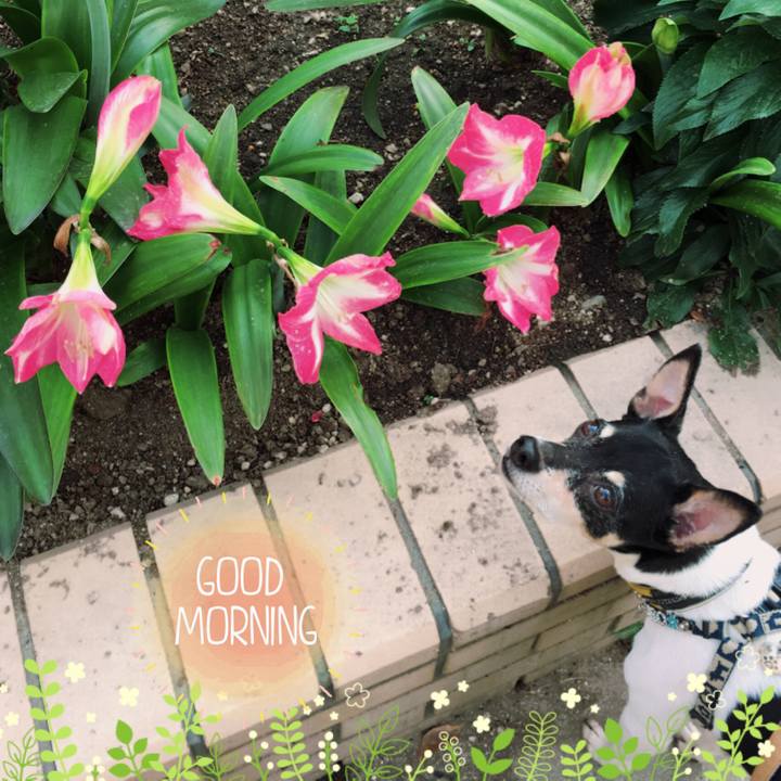 Ac682b49 efff 4aca a460 7b7921b522f9