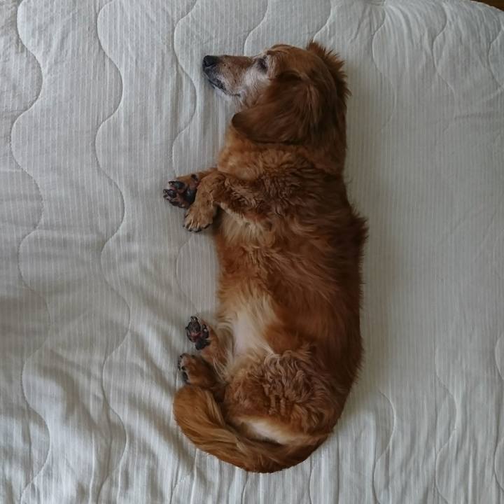 Ac684e33 93e0 4fef bd70 87383308708d