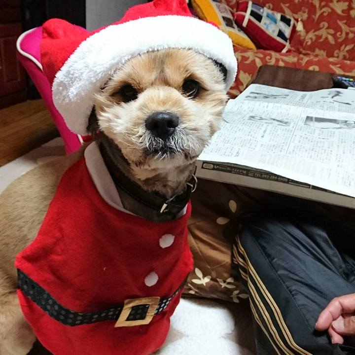 Ac68cad0 6ba1 4852 a243 613f8006a4cb