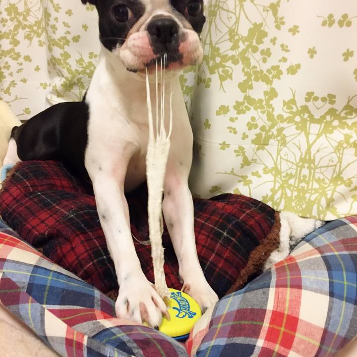 Ac6a6181 39e0 433c 9f2a 871a69072233