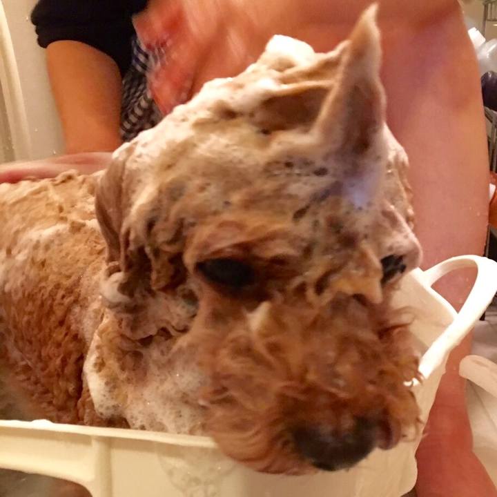 Ac6ba1ed 5446 43a3 84eb 3bff9b8f5cb1