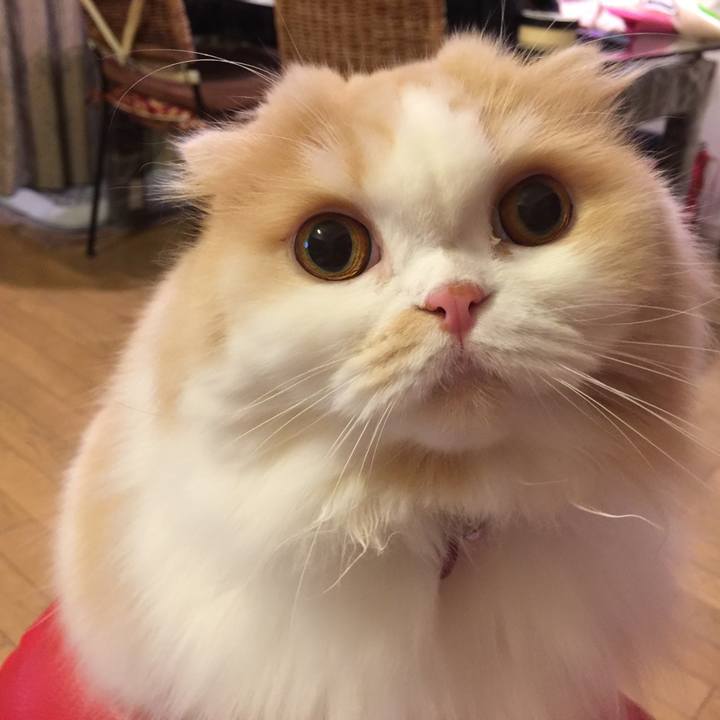 Ac6bdd51 2980 4717 b5df 6aaa57c2c248