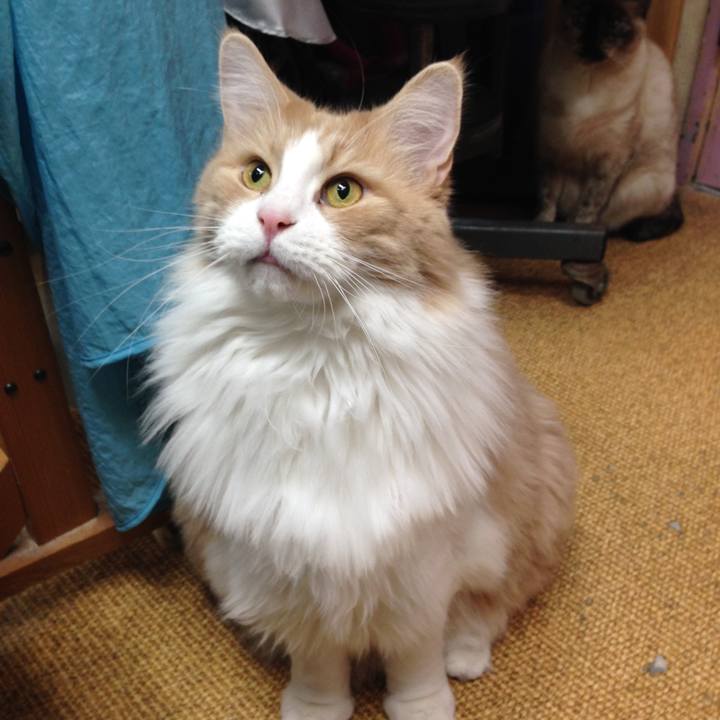 Ac6c5f02 1c6f 4391 9f3e 07f02f3815ad