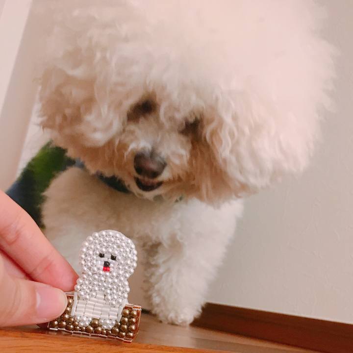 Ac6d0eb7 2e31 40ba 9ba0 0d37ccba03ce