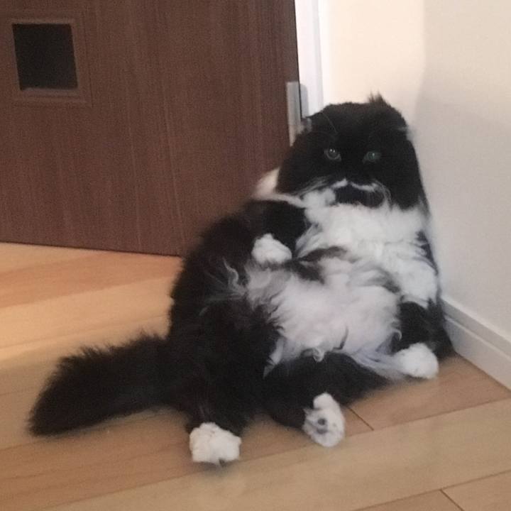 Ac6d8180 2ded 4d4e 82c1 0aa43eb117b9