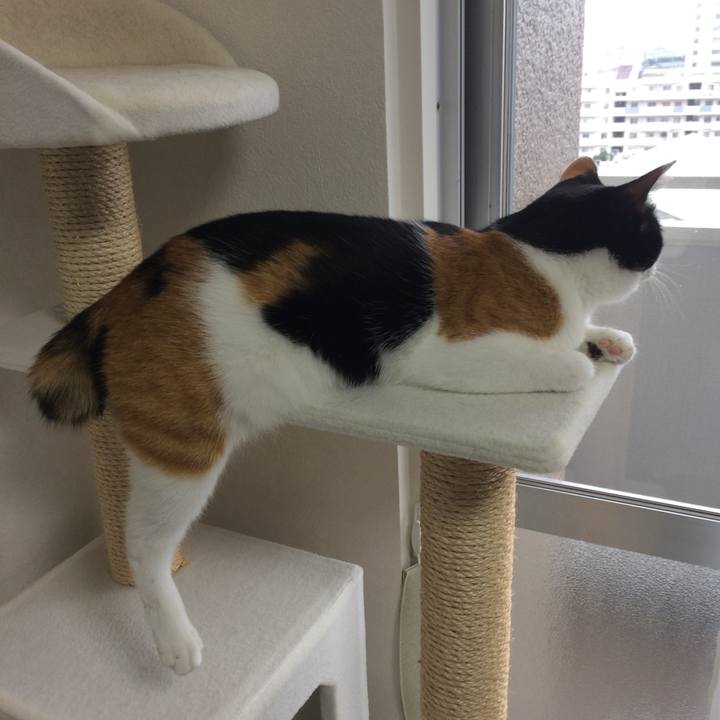 Ac6f32c9 223a 4209 b4b2 e6b19d8fc6aa