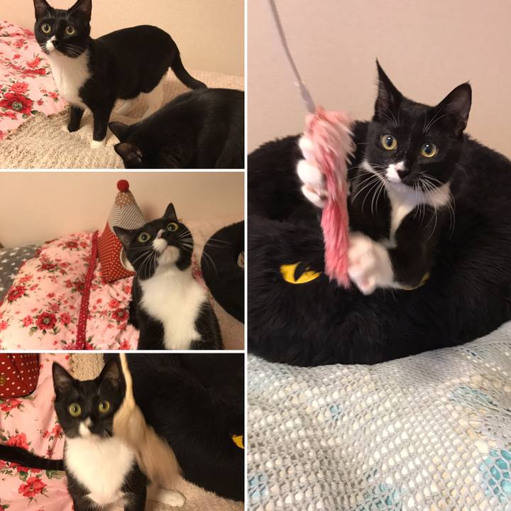 Ac70bbc9 3f98 4074 af79 3d0a79112865