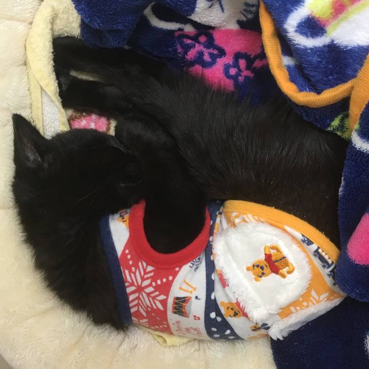 Ac712dc8 8364 4cd7 a847 db137726e540