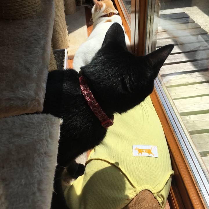 Ac7185b7 4b49 4e3f 9205 9219ed30eadb