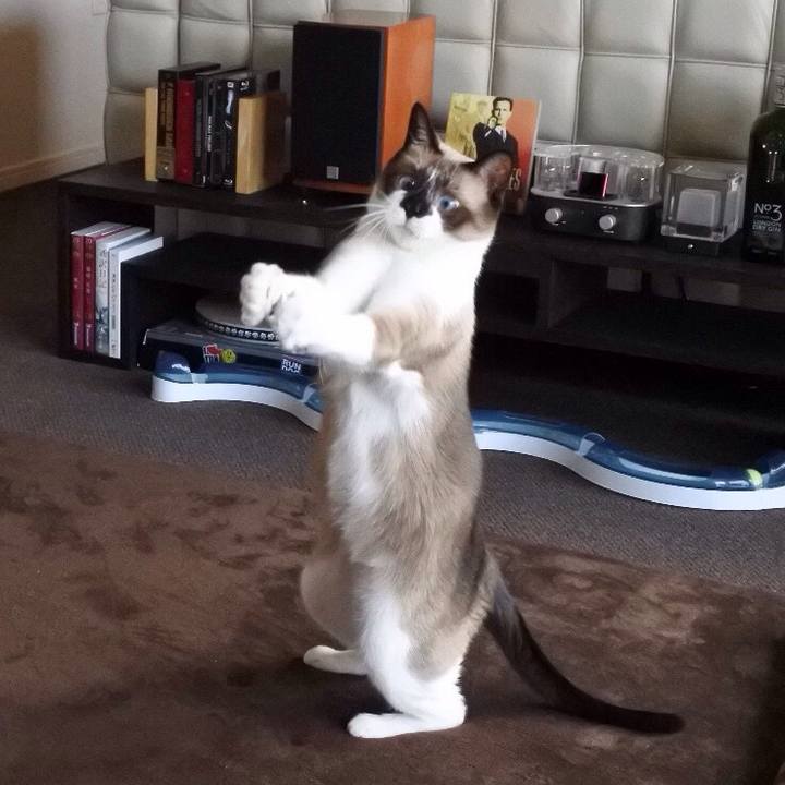 Ac71c80e bdc4 48ef 9d98 ab6d64aa9ae7