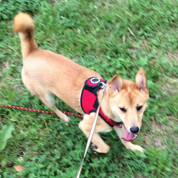 Ac71d0f2 7159 4846 981b 71c17063387a