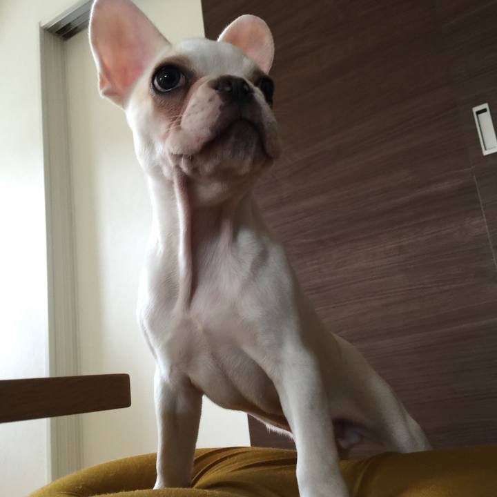 Ac71fa4b e4a6 4e42 b0cc 6503207aa873