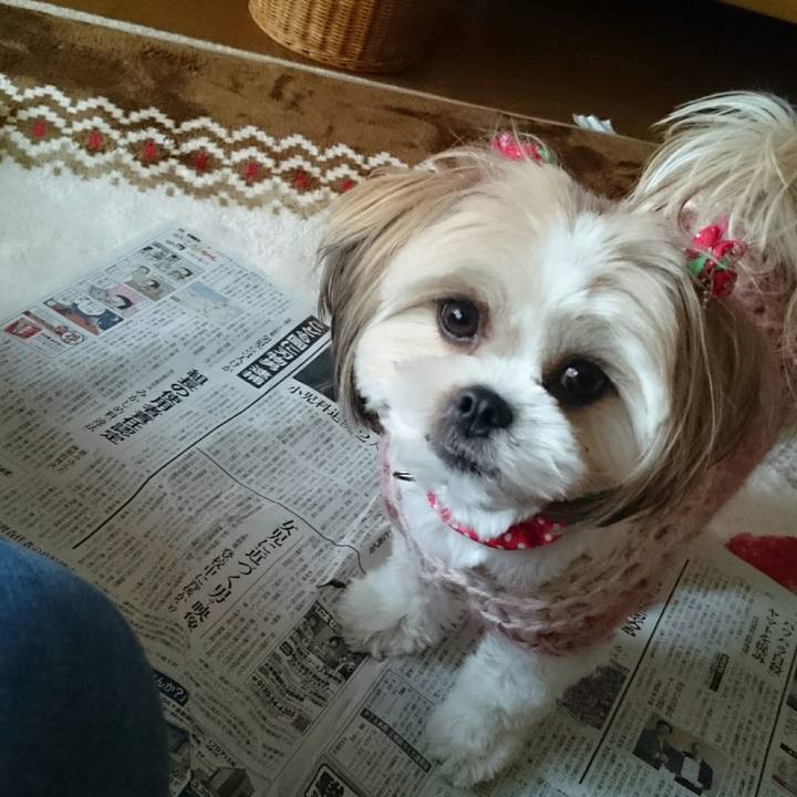 Ac720b73 9a8f 4234 b0ad 794c632dd0a9